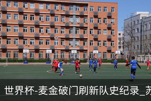 世界杯-麦金破门刷新队史纪录 苏格兰1-0海地领跑积分榜