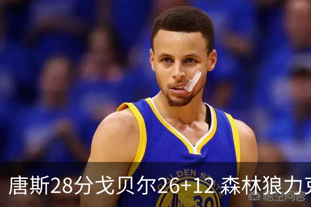 唐斯28分戈贝尔26+12 森林狼力克黄蜂4连胜